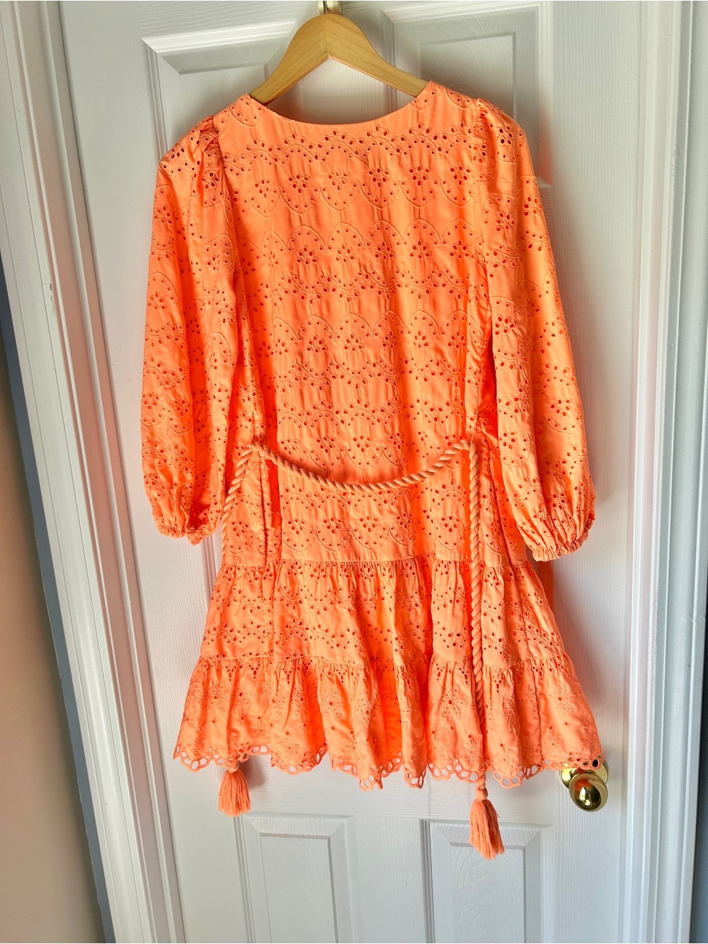 Lilly Pulitzer Keyla Eyelet Dress Bellini Riviera - Picture 6 of 6